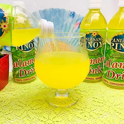 パンラサン ピノイ カラマンシージュース 500ml 【PANLASANG PINOY】 - 画像 (3)