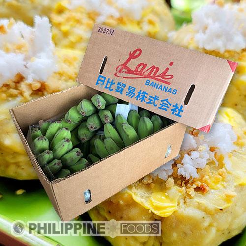 ラニー 調理用青バナナ (サバ種) 1箱 8kg~10kg 【フィリピン産・LANI】