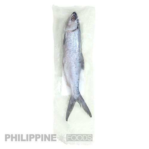 バゴス ホール 400-600g 1匹【フィリピン産】【FISHER FARMS】 - 画像 (3)