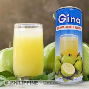ジーナ グアバ ジュース 240ml 【GINA】