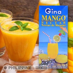ジーナ マンゴー ネクター ラージ 1000ml 【GINA】
