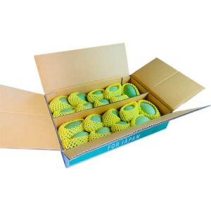 グリーンマンゴー 20~22個入りケース (SS) 【タイ産】P&F
