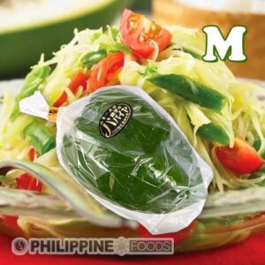 グリーンパパイヤ M (日本産) 400-600g 1個